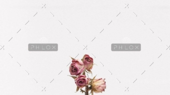 demo-attachment-1111-tanalee-youngblood-fsdWYNTymjI-unsplash-1024x1024